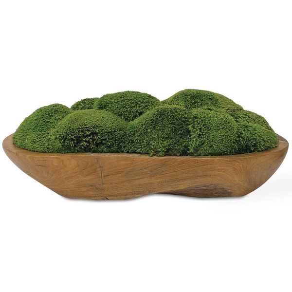 Kinsale Moss Centerpiece